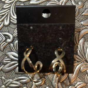 Earrings hoop